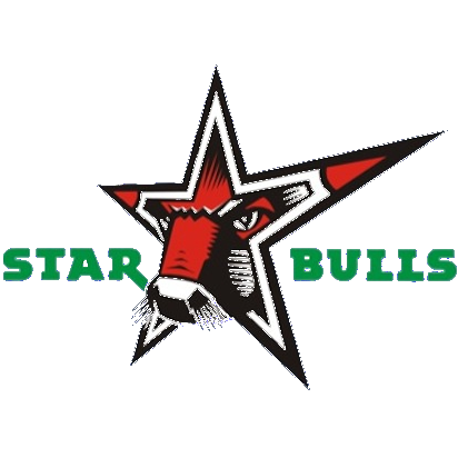 Starbulls Rosenheim U14