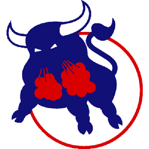 Birmingham Bulls