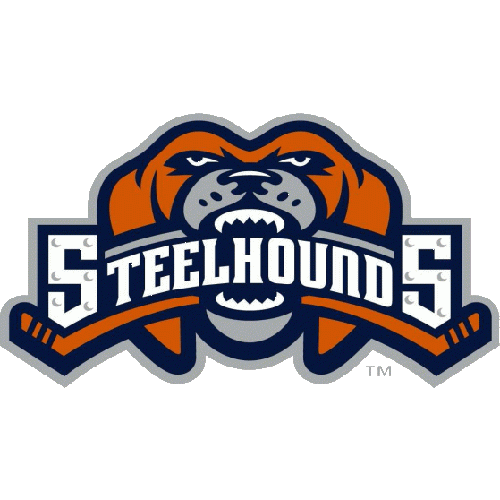 Youngstown Steelhounds