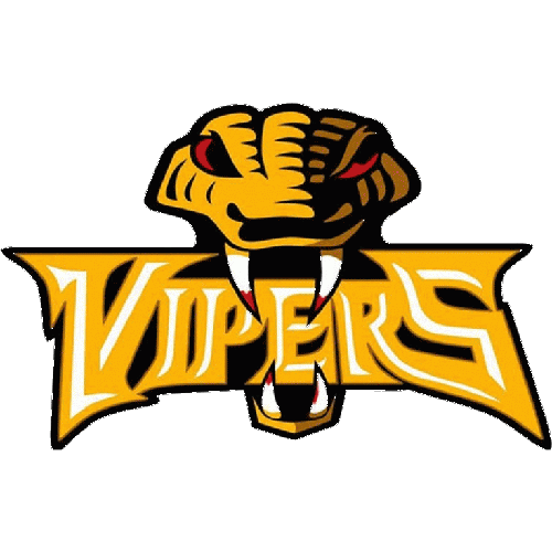 Newcastle Vipers