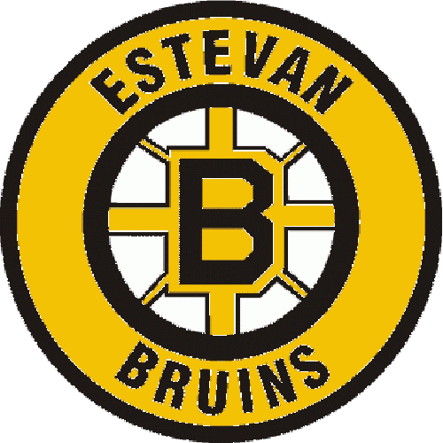 Estevan Bruins (SJHL)