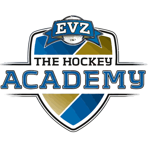 EVZ Academy