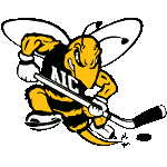 American International College Yellow Jackets Springfield (Atlantic Hockey)