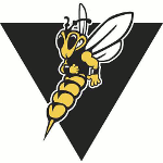 University of Wisconsin–Superior Yellowjackets (NCAA III-WIAC und ACHA II-Independent)